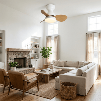 Renuina Ceiling Fan Light