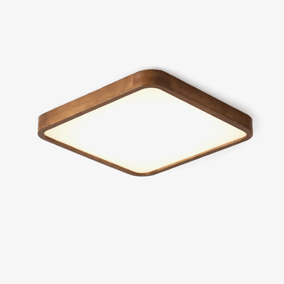 Elaoria Soft Edge Ceiling Light