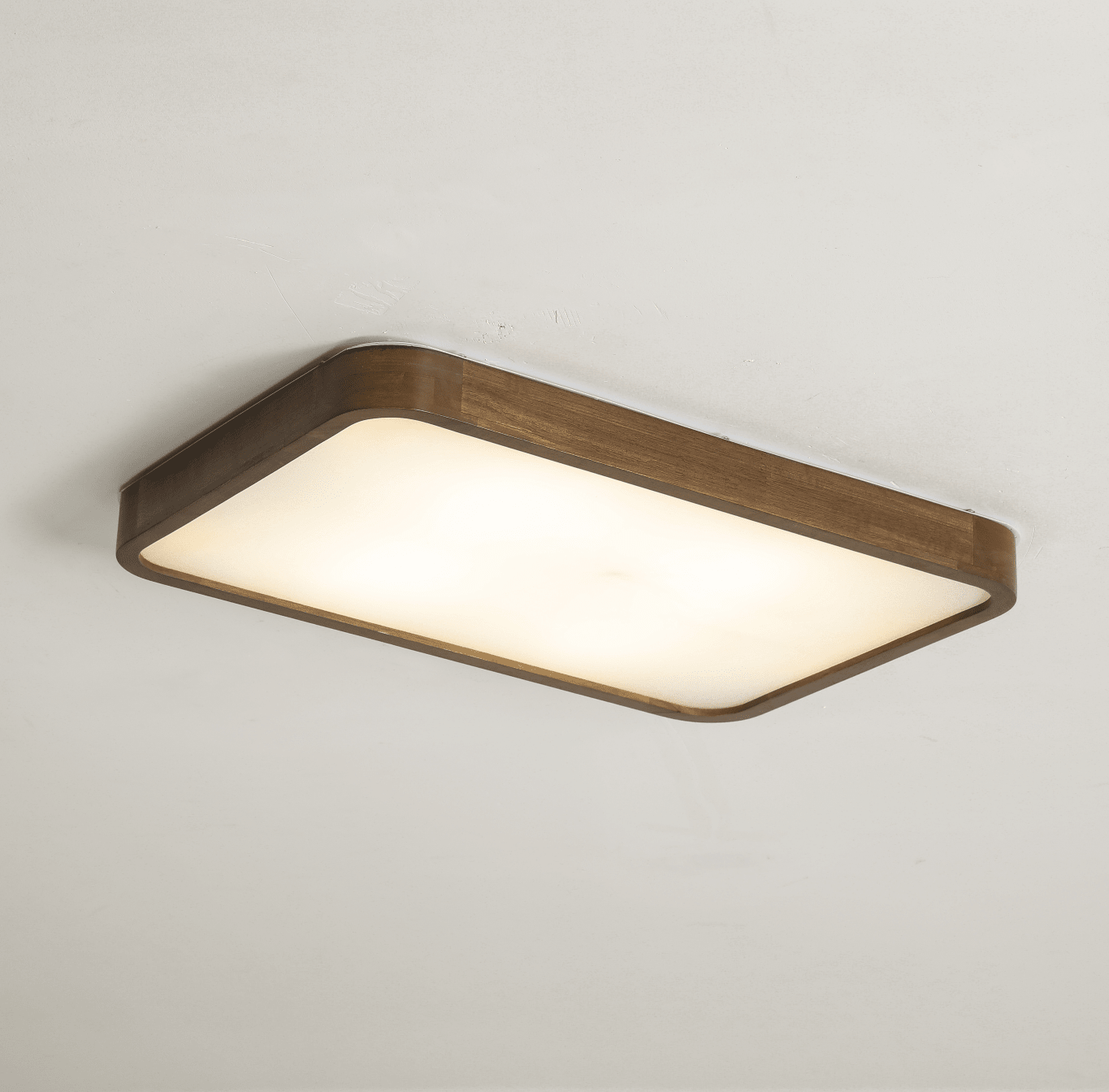 Elaoria Soft Edge Ceiling Light