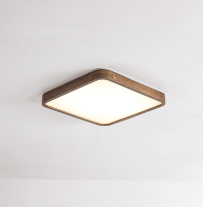 Elaoria Soft Edge Ceiling Light