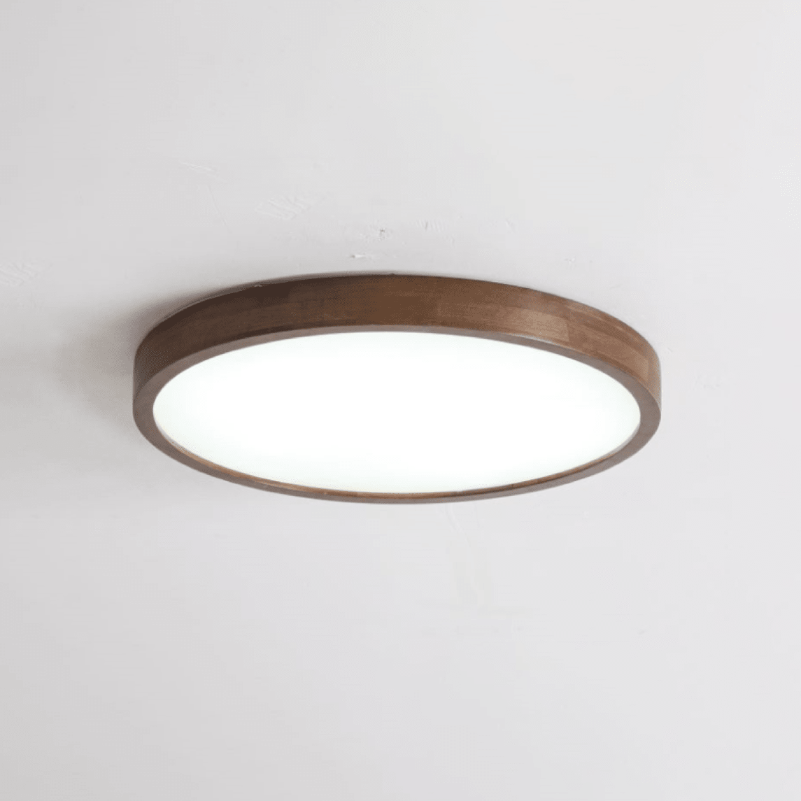 Elaoria Soft Edge Ceiling Light