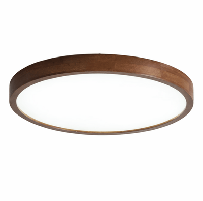 Elaoria Soft Edge Ceiling Light