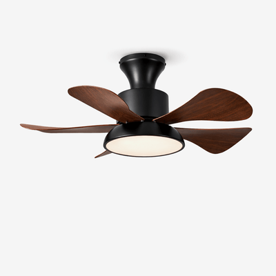 Avenereon Ceiling Fan Light