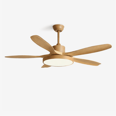 Renalella StillWind Ceiling Fan Light