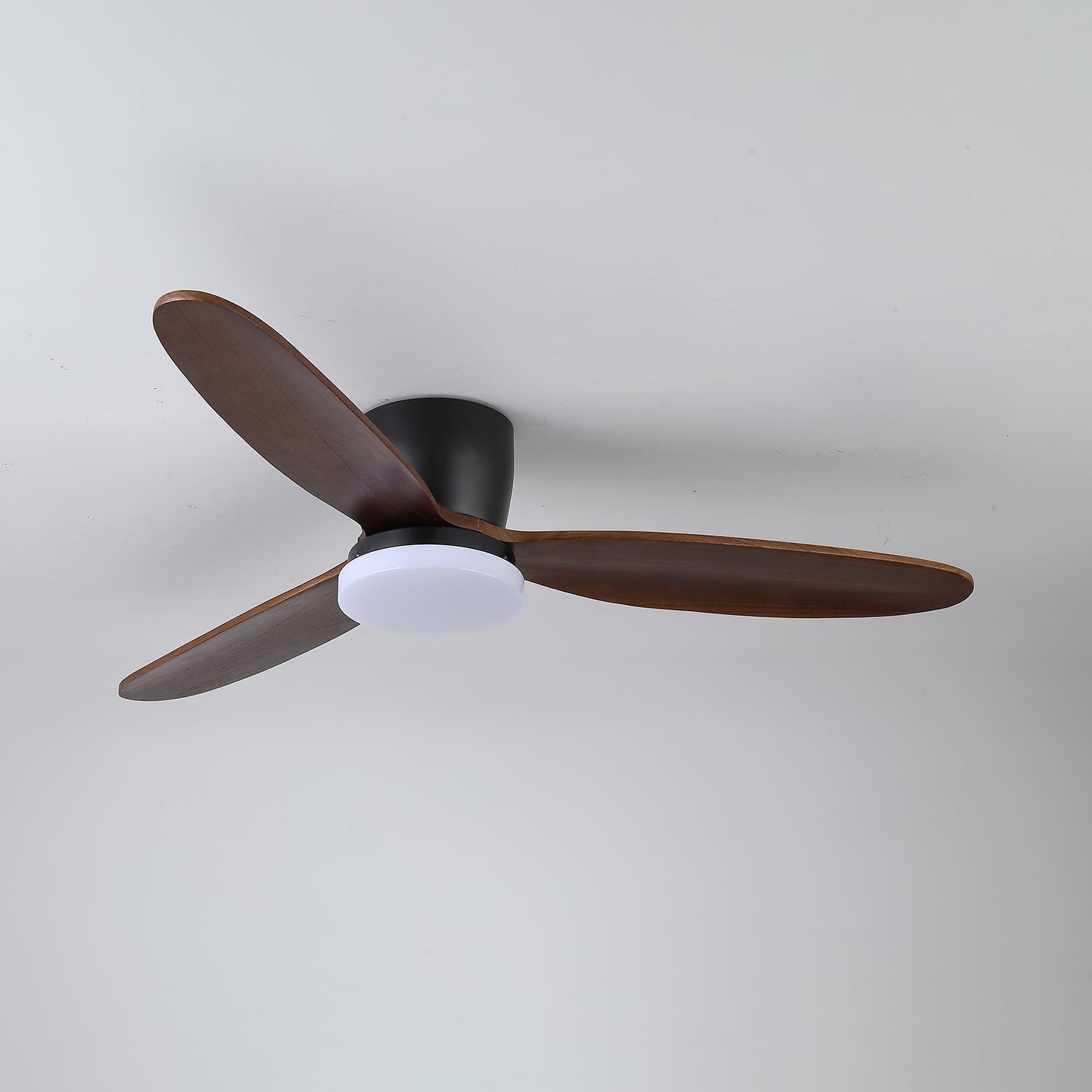 Athyrs Ceiling Fan Light