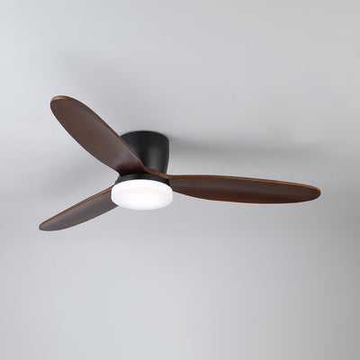 Athyrs Ceiling Fan Light