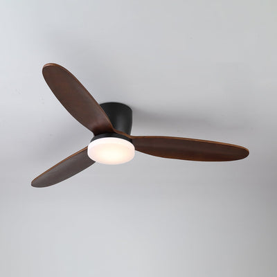 Athyrs Ceiling Fan Light