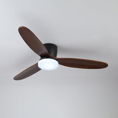 Athyrs Ceiling Fan Light