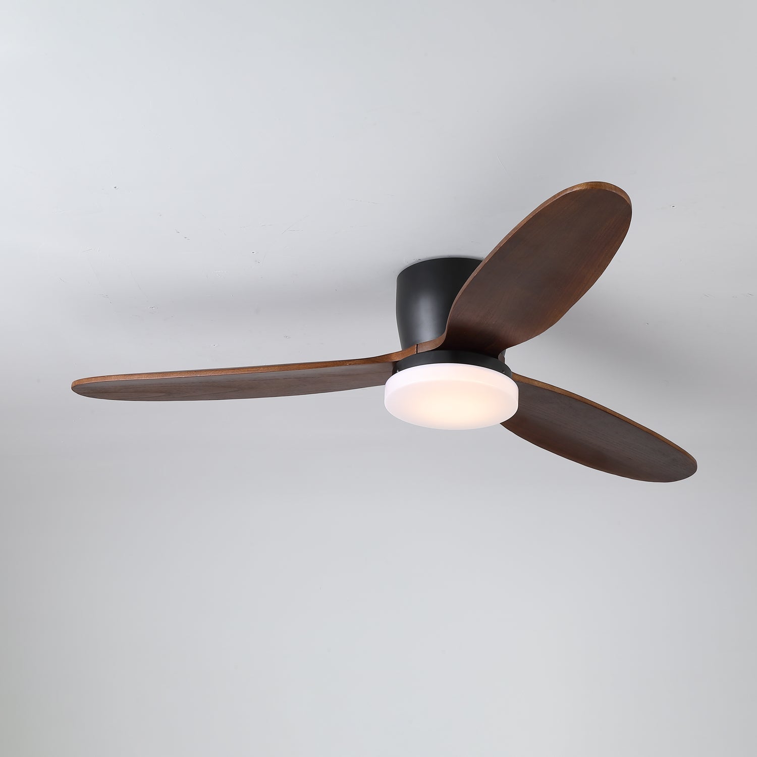 Athyrs Ceiling Fan Light