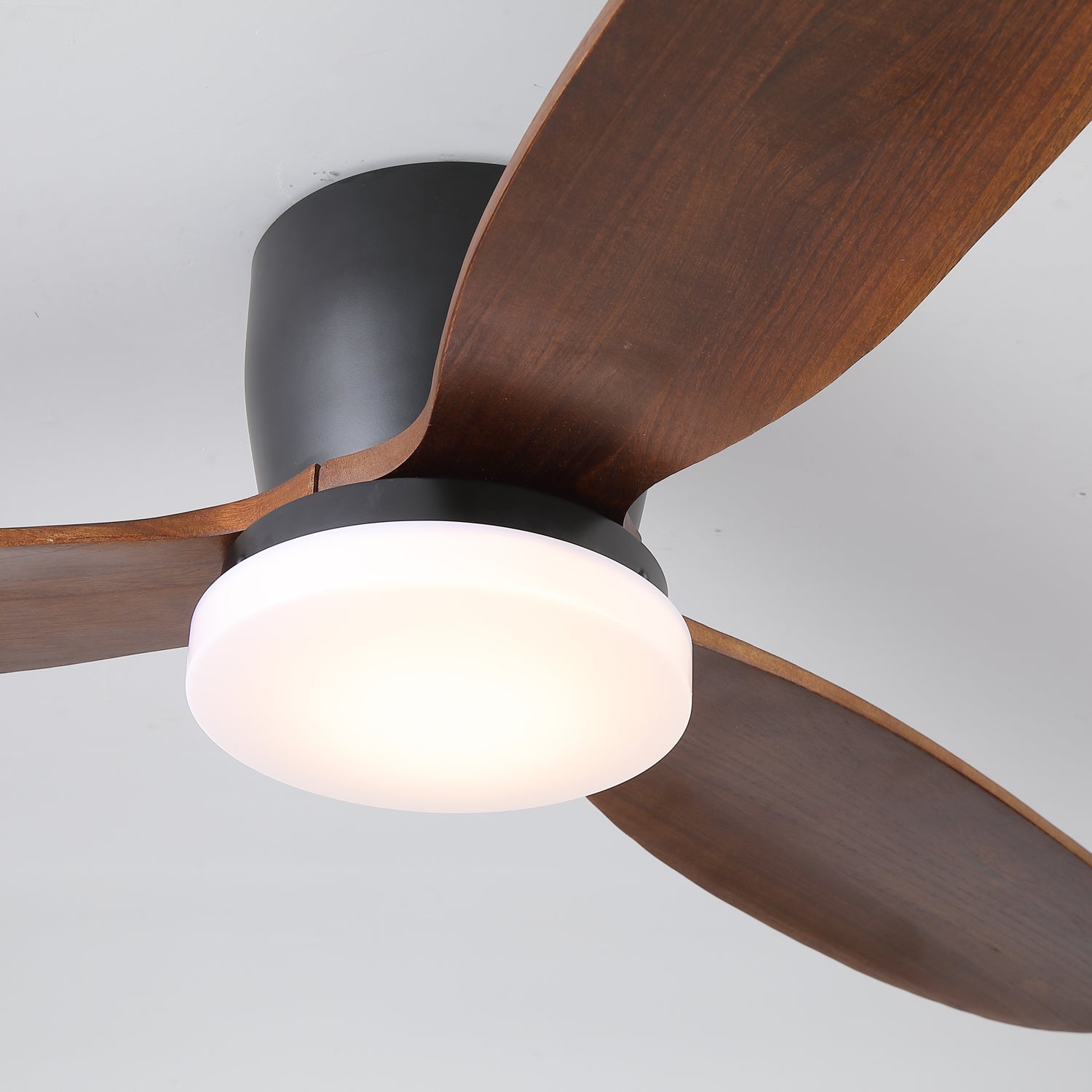 Athyrs Ceiling Fan Light