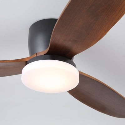 Athyrs Ceiling Fan Light