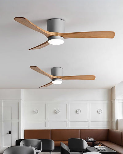 Elaerine Ceiling Fan Light