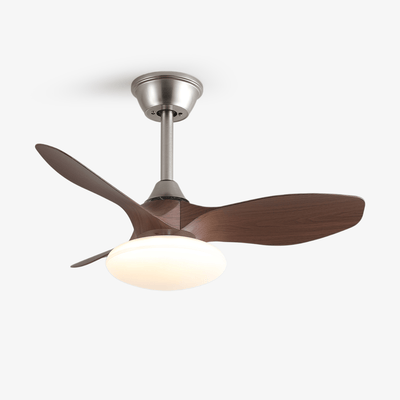 Sylvara Ceiling Fan Light