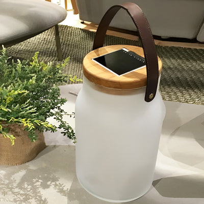 Lively Modern Portable Glass Outdoor Lawn Lights