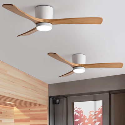 Elaerine Ceiling Fan Light