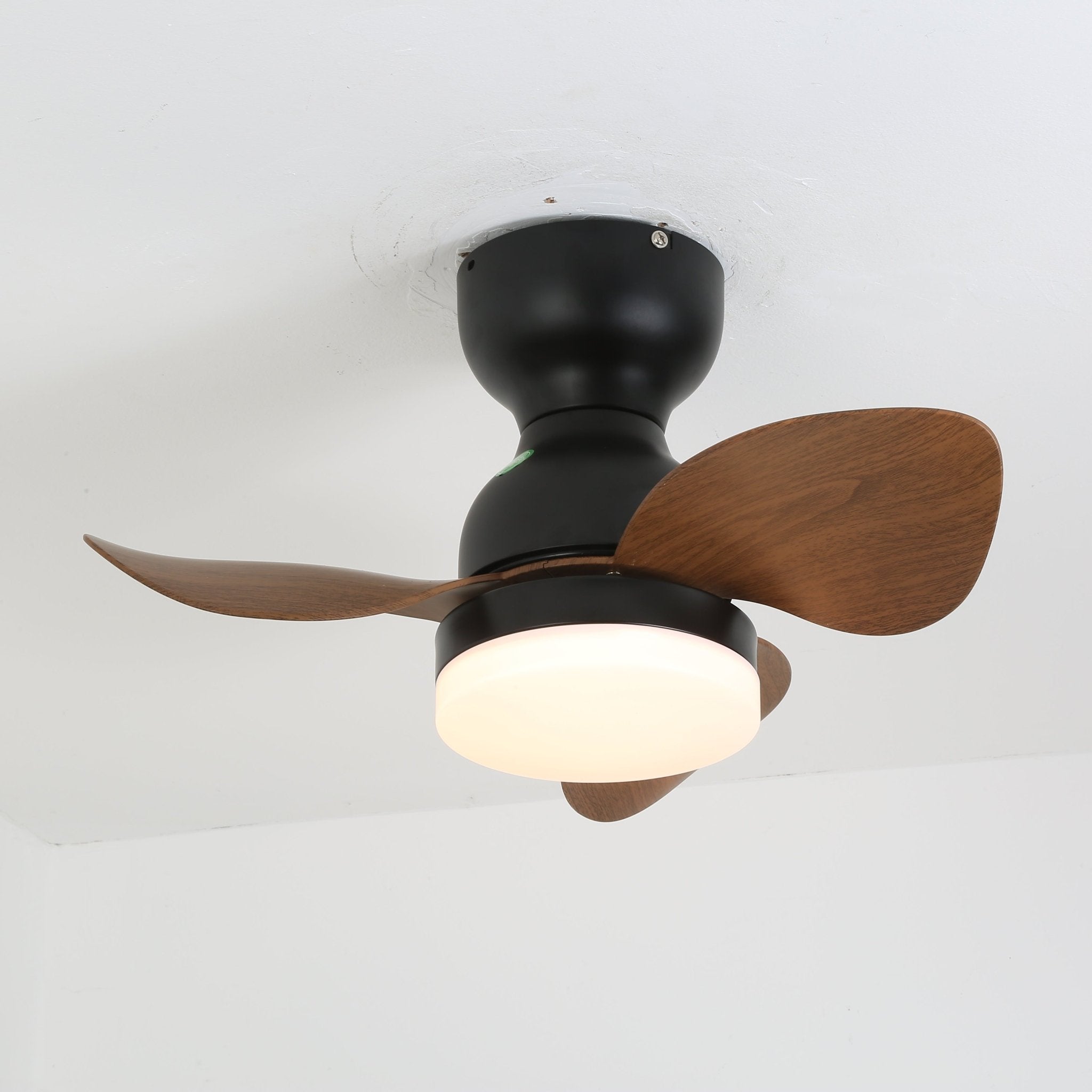 Renuina Ceiling Fan Light