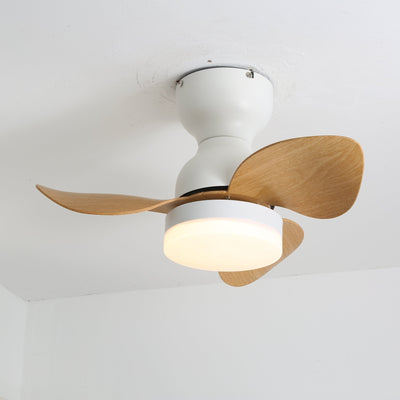 Renuina Ceiling Fan Light