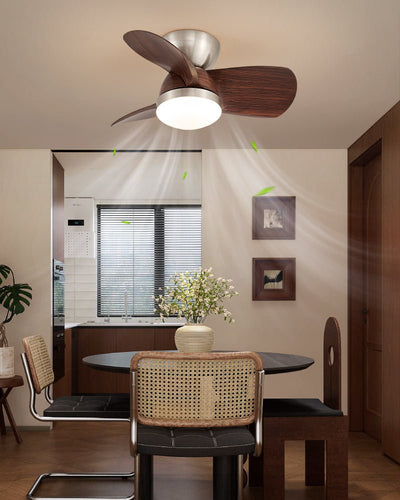 Dyms Ceiling Fan Light
