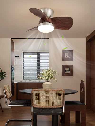 Dyms Ceiling Fan Light