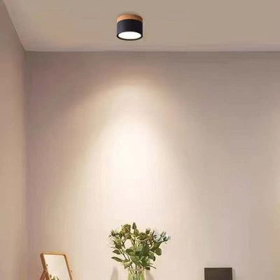 Valentina Modern Cylindrical /Acrylic Flush Mount Ceiling Light Hallway - Neutral Decor