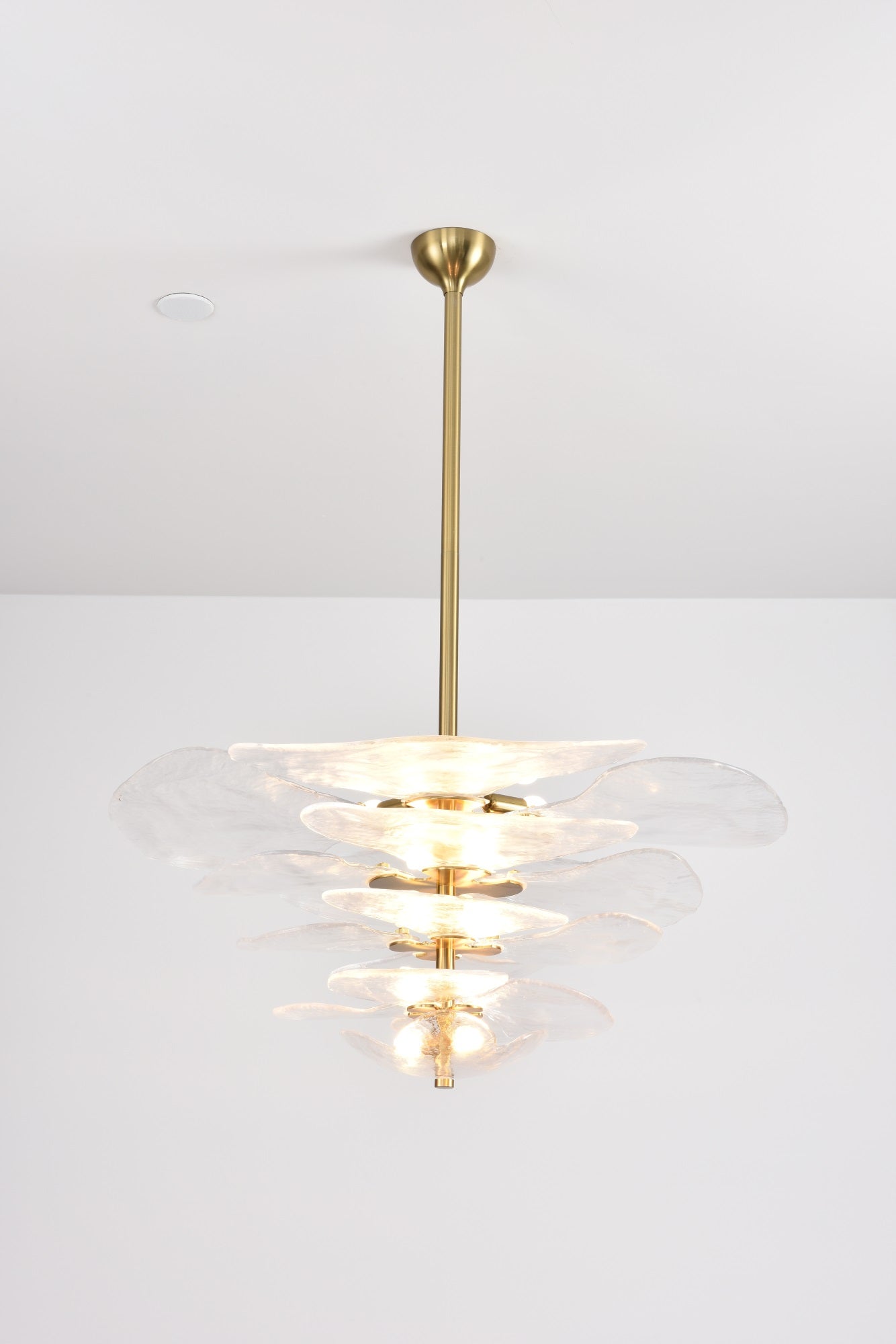 Crivs Chandelier Gold Murano Glass Petal Luxury