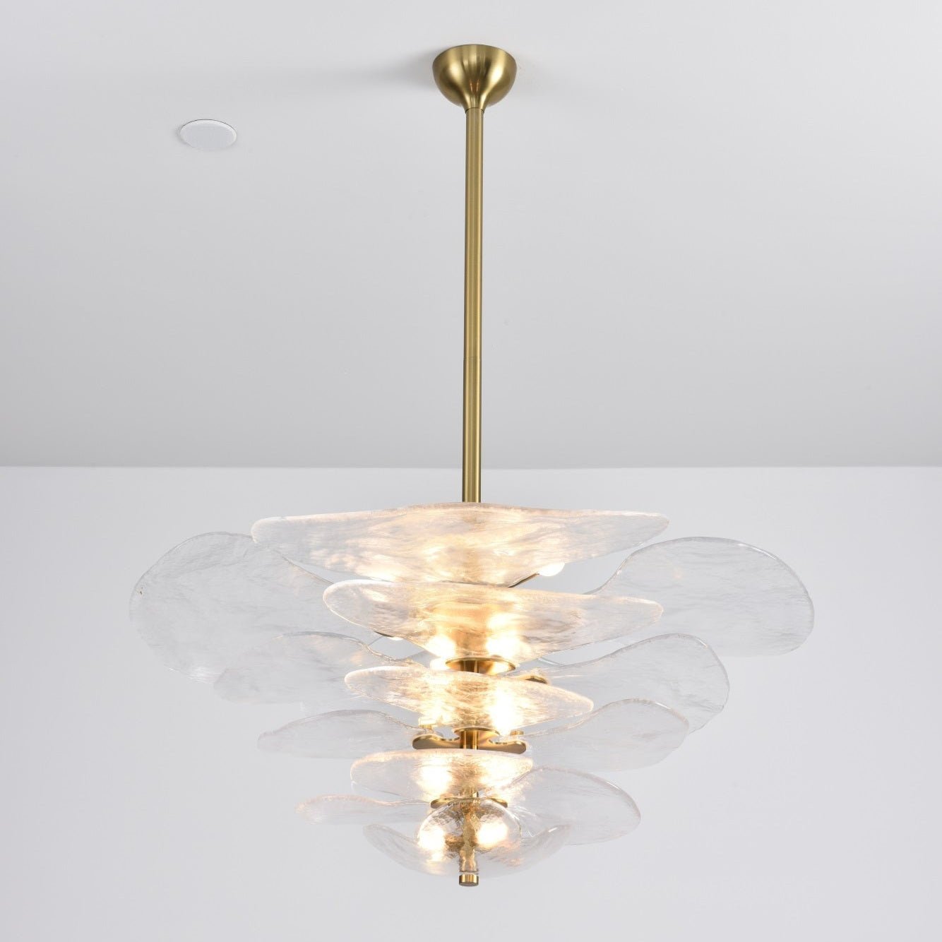 Crivs Chandelier Gold Murano Glass Petal Luxury