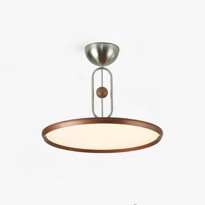 Lucaian Modern Acrylic Ceiling Lamp
