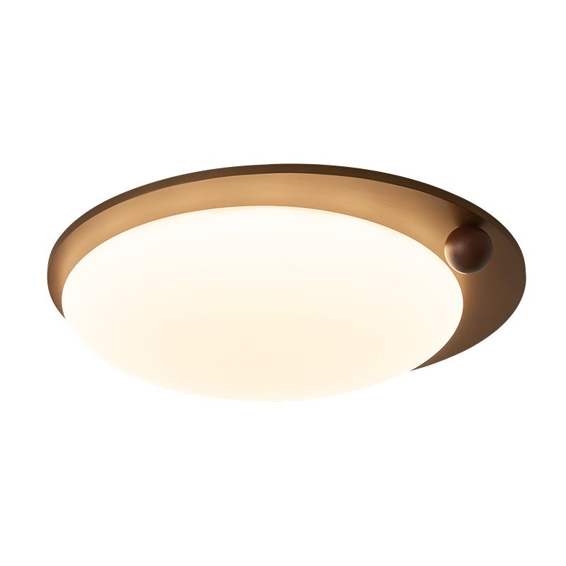 Wood Accent Ceiling Light