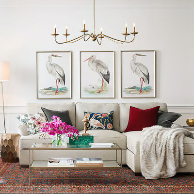 Liolaura Chandelier