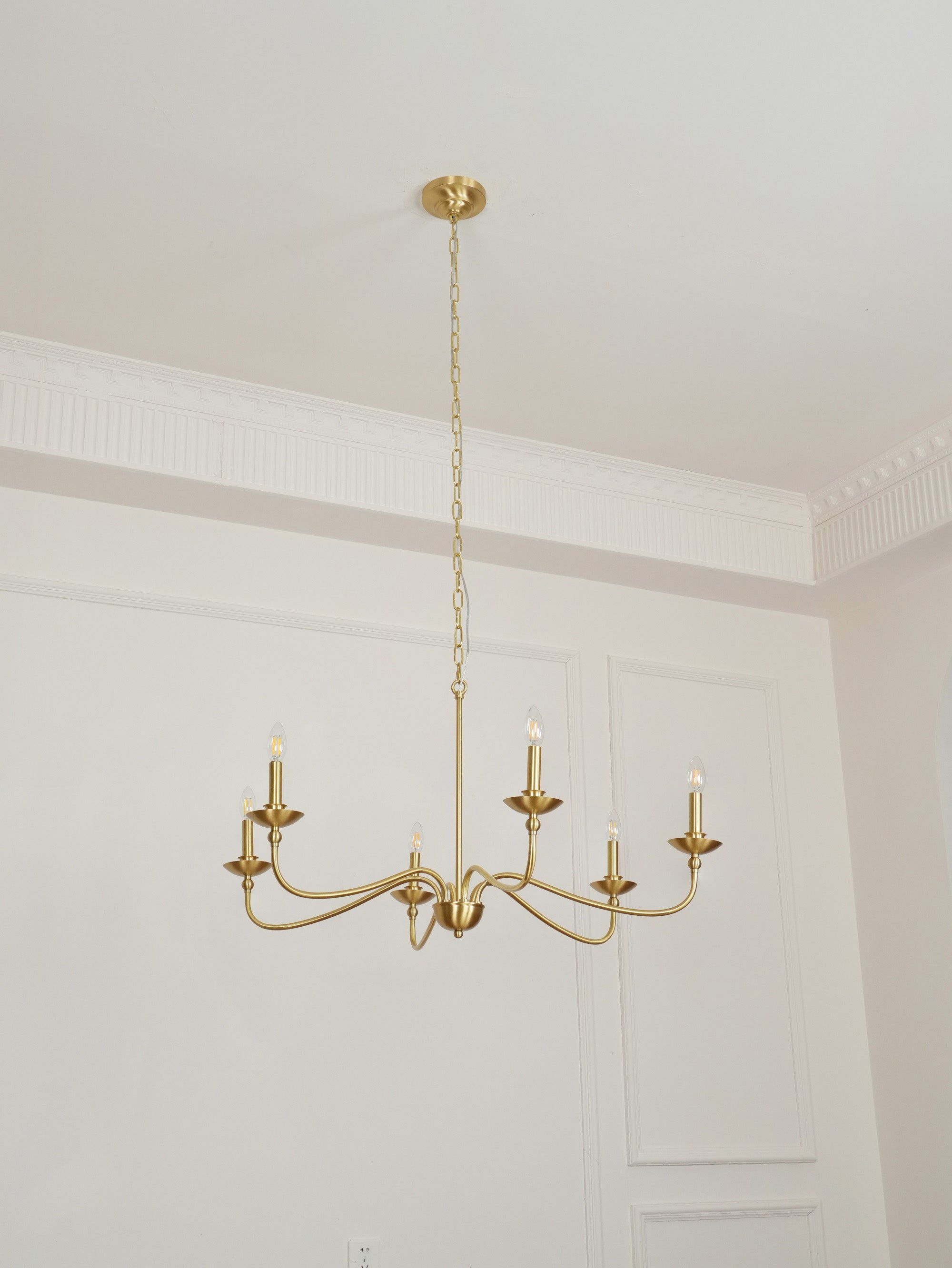 Liolaura Chandelier