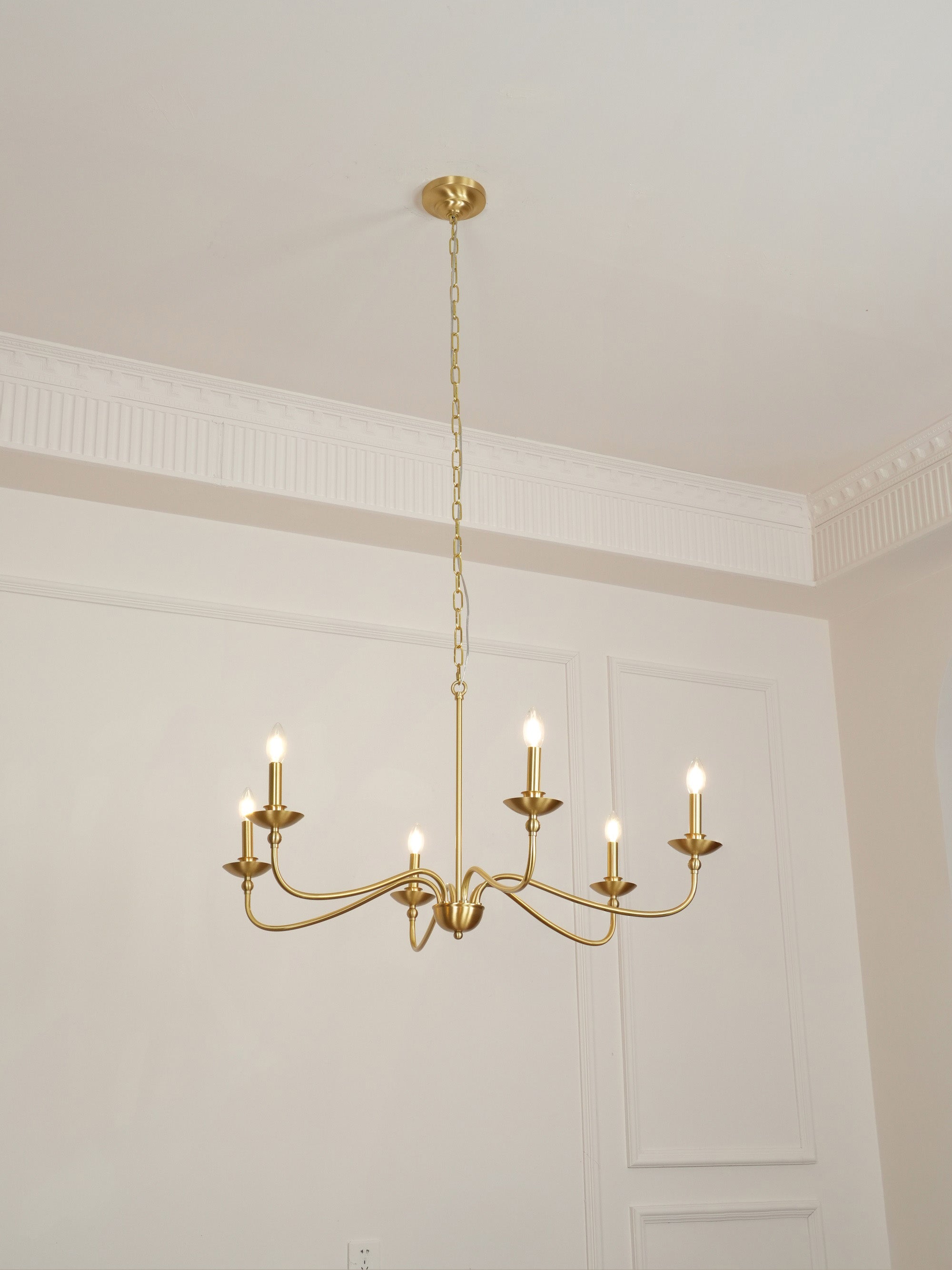 Liolaura Chandelier