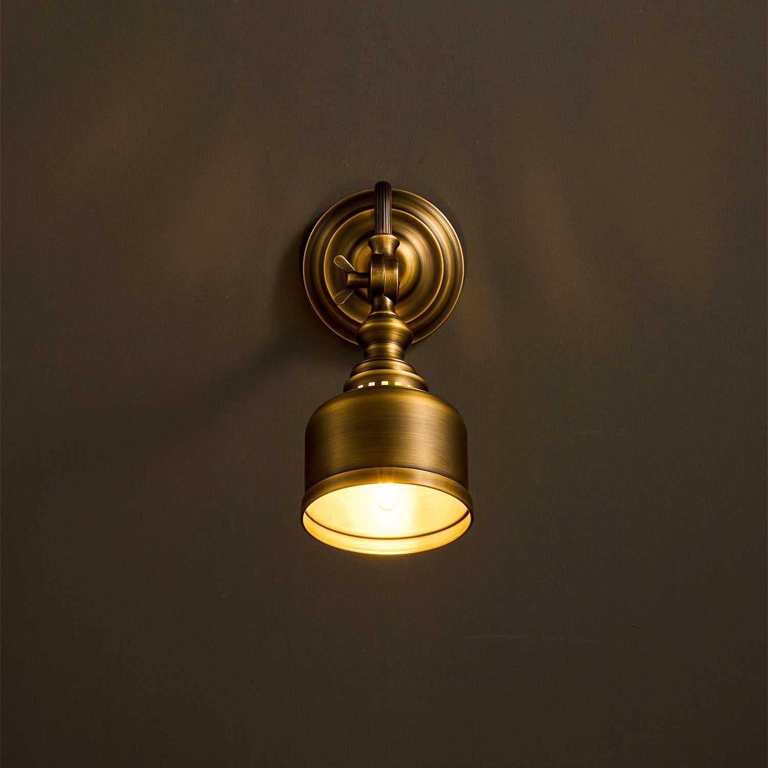 Cedarridge Gooseneck Indoor Wall Light
