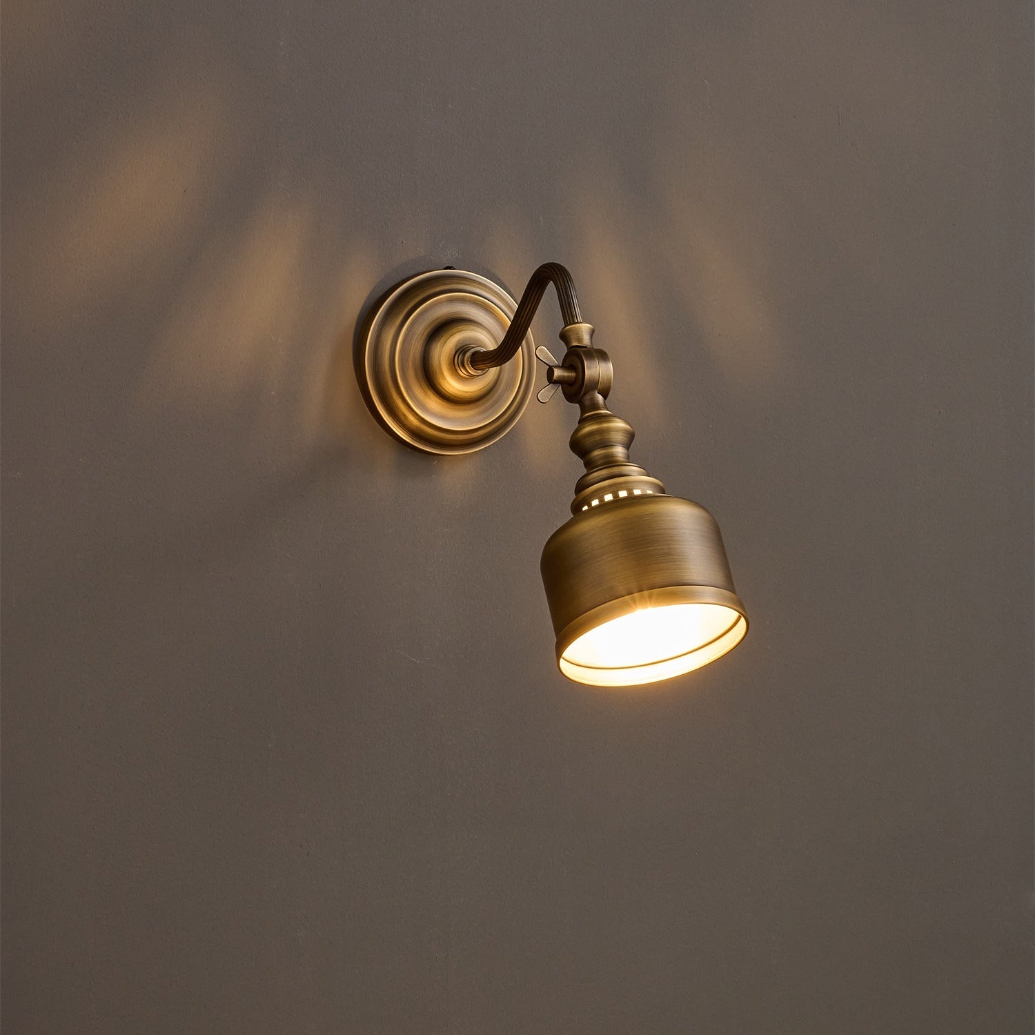 Cedarridge Gooseneck Indoor Wall Light