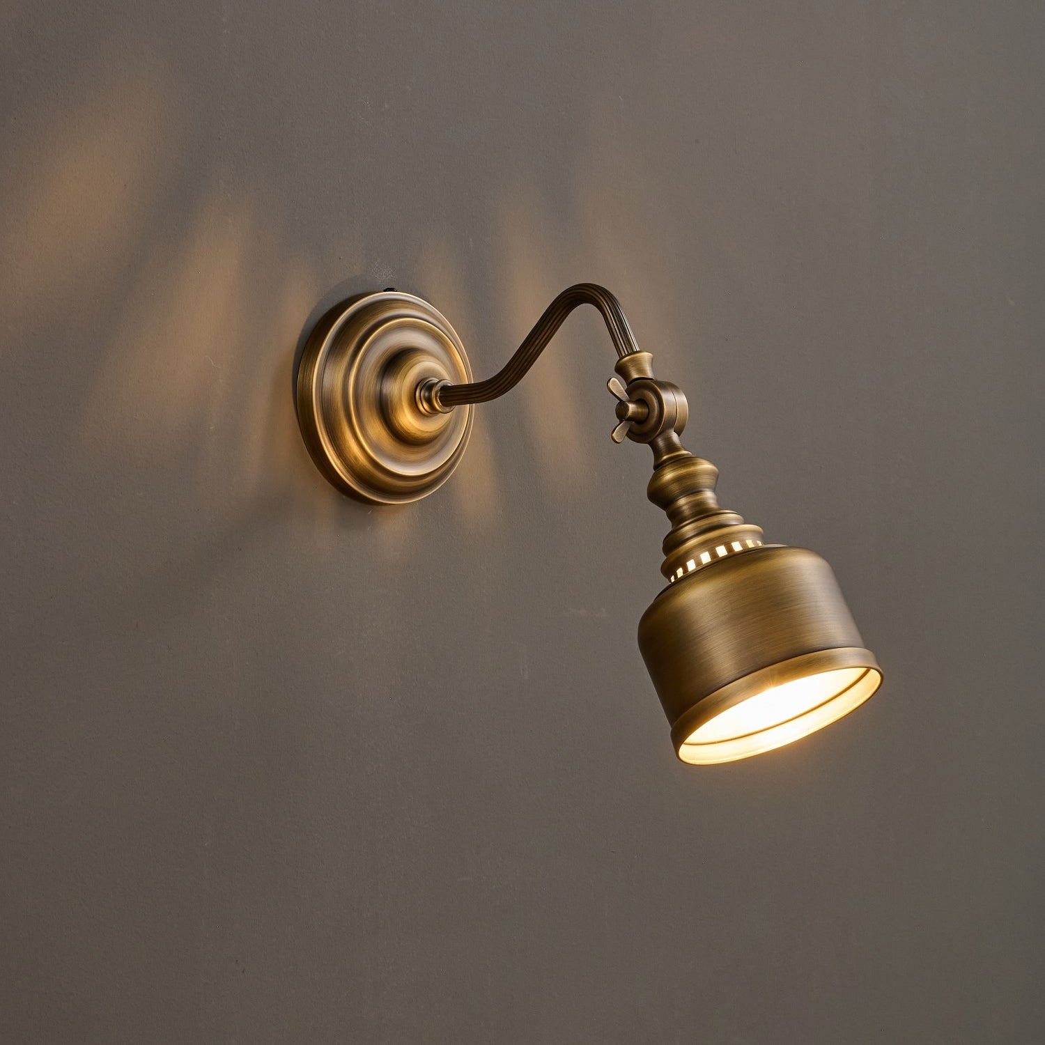 Cedarridge Gooseneck Indoor Wall Light