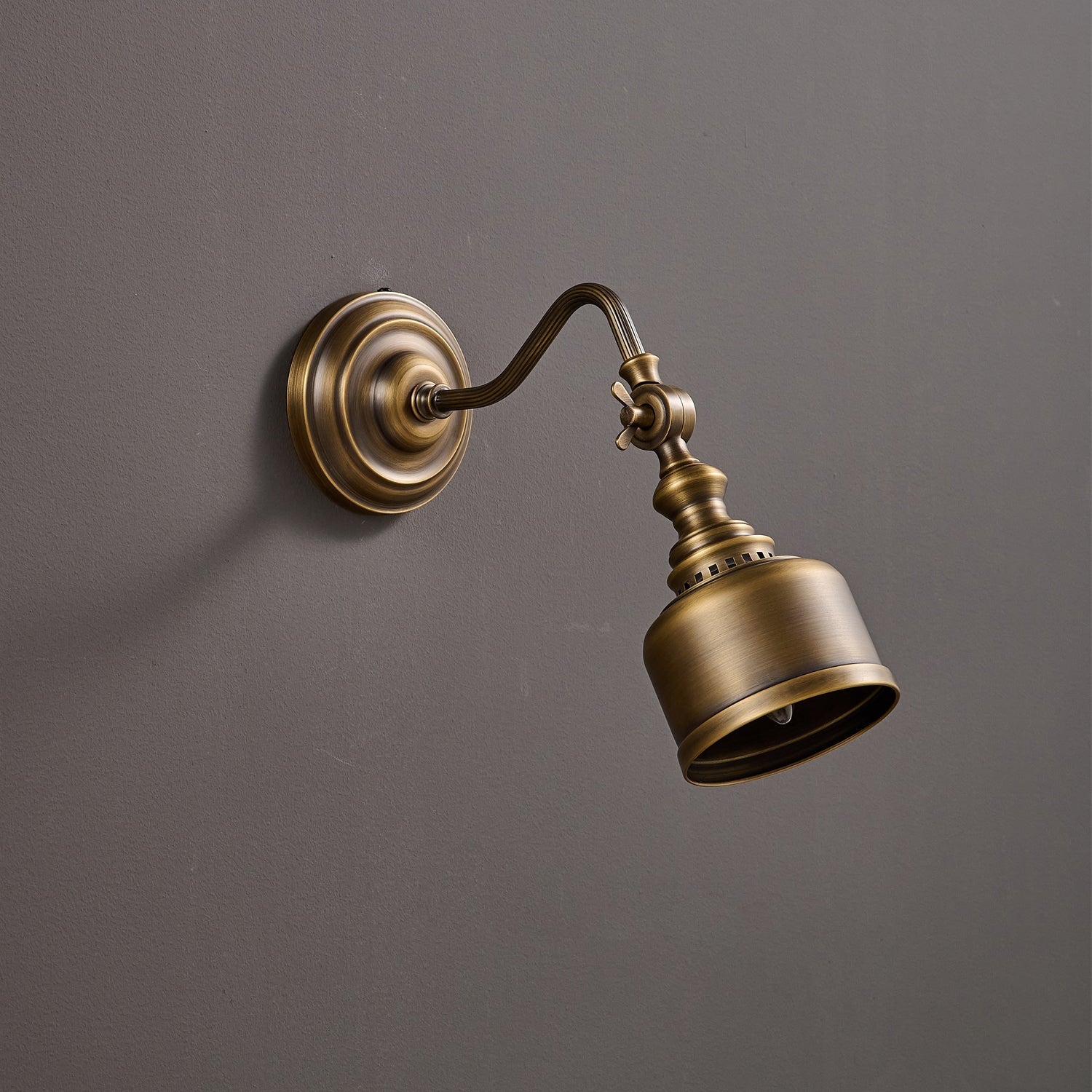 Cedarridge Gooseneck Indoor Wall Light