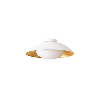 Arinora Ceiling Light