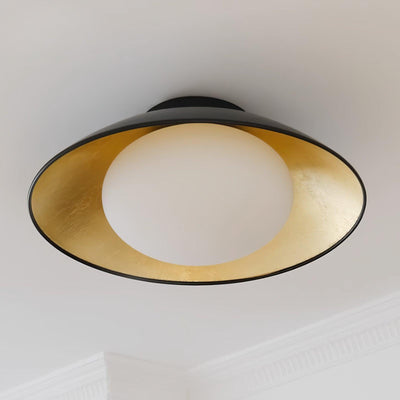 Arinora Ceiling Light