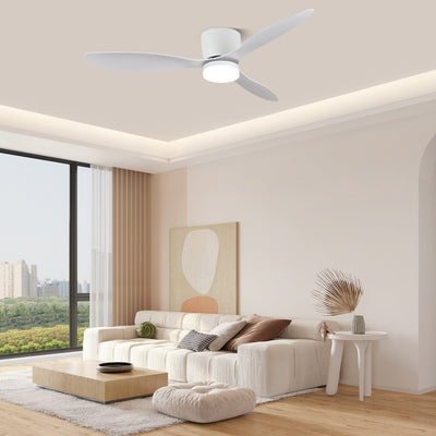 Brinor Minimalist Wood Ceiling Fan Light