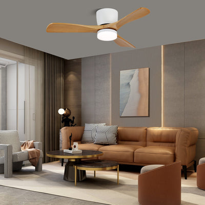 Knox Minimalist Ceiling Fan Light