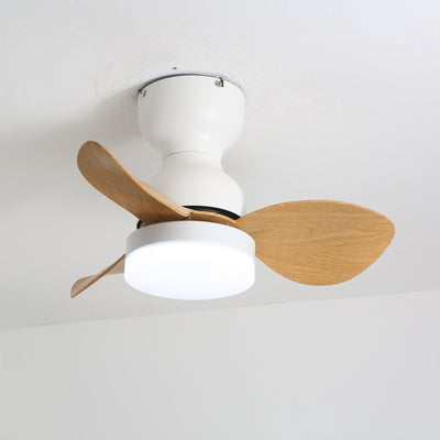 Renuina Ceiling Fan Light