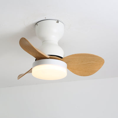 Renuina Ceiling Fan Light