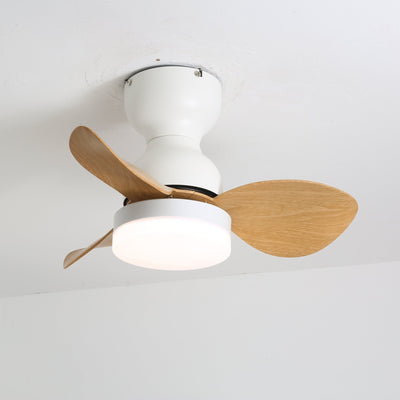 Renuina Ceiling Fan Light