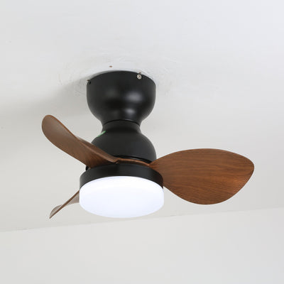 Renuina Ceiling Fan Light