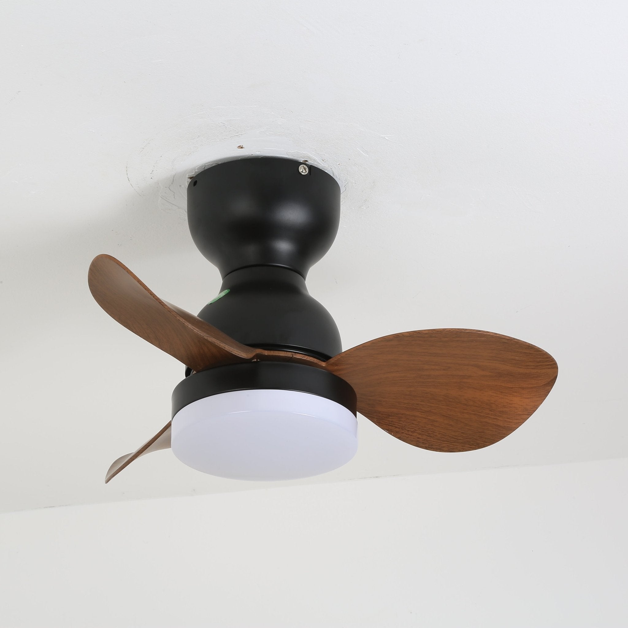 Renuina Ceiling Fan Light