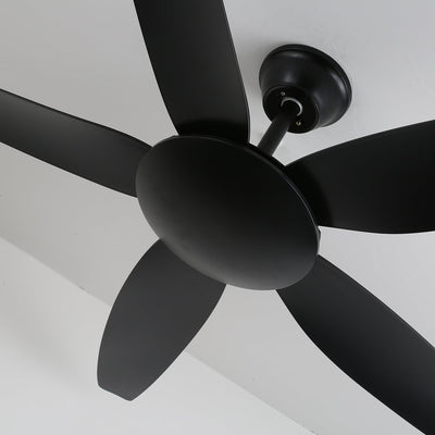 Onyxa Minimalist Ceiling Fan Light