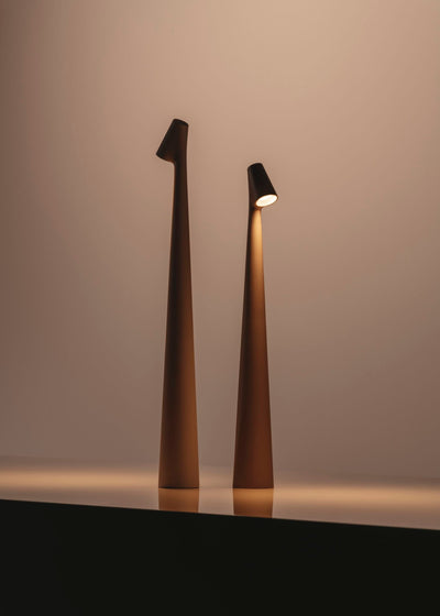 Nirerora Acrylic Minimalist Table Lamp
