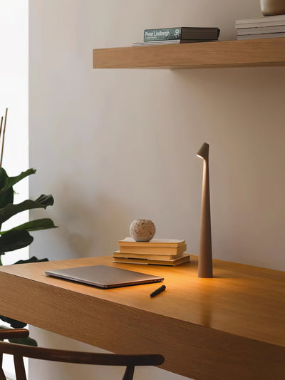 Nirerora Acrylic Minimalist Table Lamp