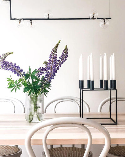 Moss Chandelier Glass with Black Steel Linear