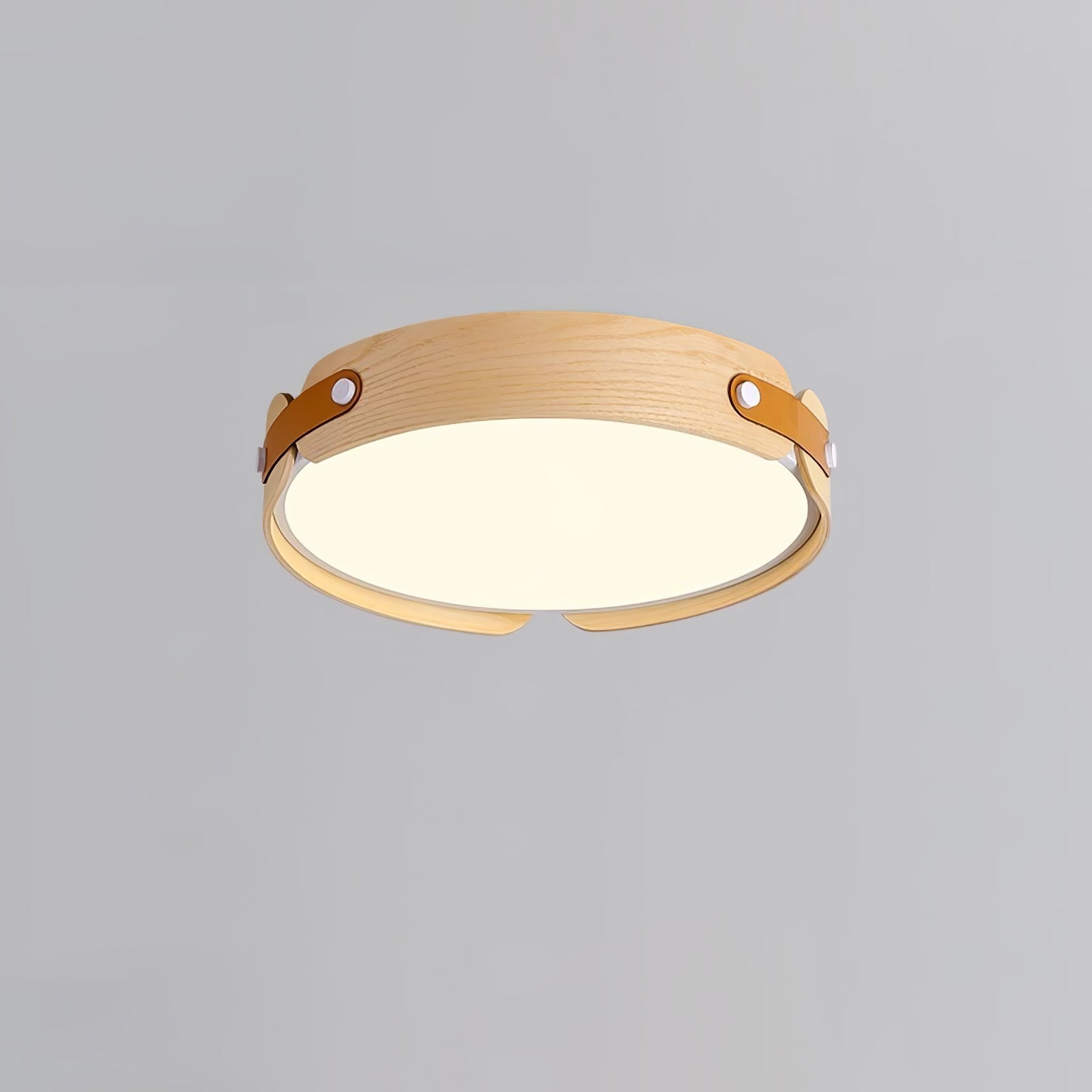Edan Modern Minimalist Wood Ceiling Light