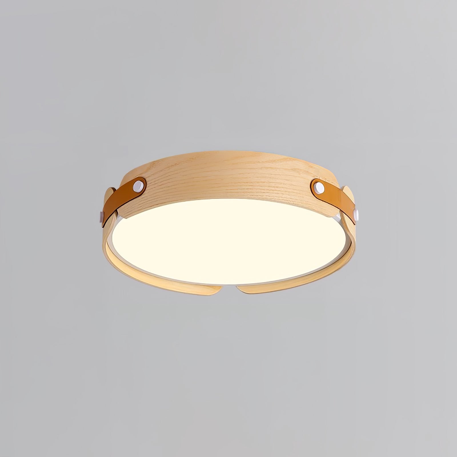 Edan Modern Minimalist Wood Ceiling Light